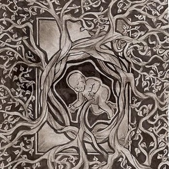 Tree Of Life - Midwives Near Me - Altamonte Springs, Florida Tree Of Life - Midwives Near Me - Altamonte Springs, Florida