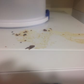 Perfection Maid Easy - The top of fridge. I paid $25 extra for them to clean my fridge. - Home Cleaning Near Me - Irvine, California Perfection Maid Easy - The top of fridge. I paid $25 extra for them to clean my fridge. - Home Cleaning Near Me - Irvine, California
