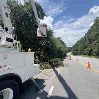 A&M Services - Tree Services Near Me - Dallas, Georgia A&M Services - Tree Services Near Me - Dallas, Georgia