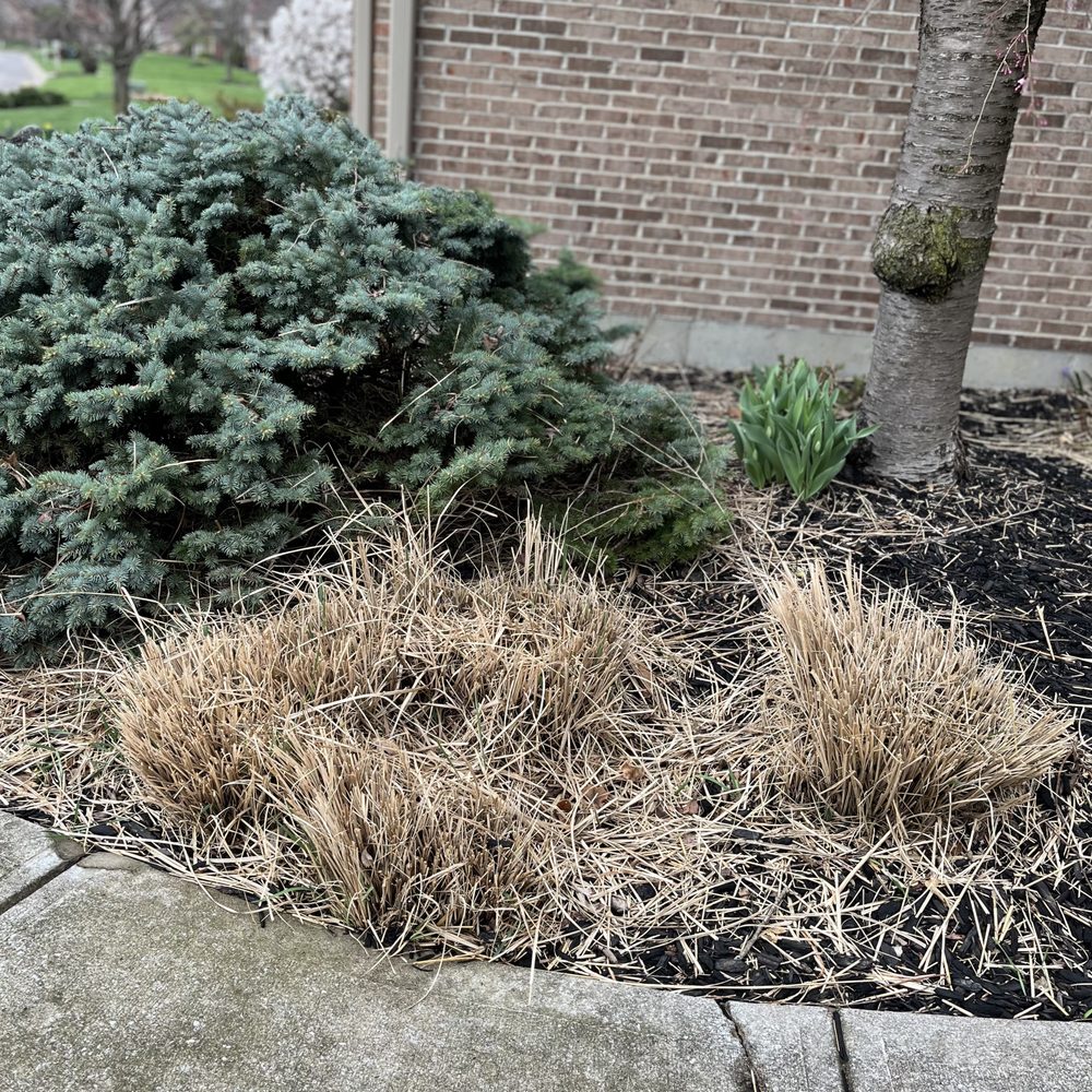 Valor Lawn Care - Mess! - Lawn Services Near Me - Maineville, Ohio