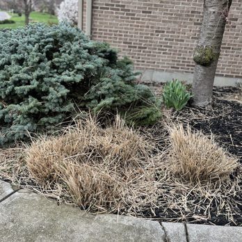 Valor Lawn Care - Mess! - Lawn Services Near Me - Maineville, Ohio Valor Lawn Care - Mess! - Lawn Services Near Me - Maineville, Ohio