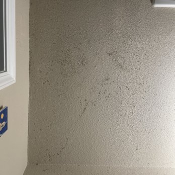 Mission Rock Residential - Black mold on the ceiling - Property Management Near Me - Denver, Colorado