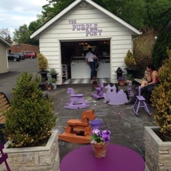 The Purple Pony