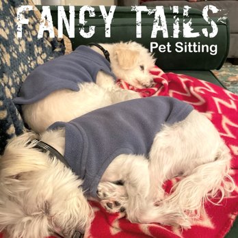 Fancy Tails - So relaxed with Tracy of Fancy Tails - Dog Walkers Near Me - Hermosa Beach, California