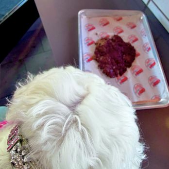 Vanman’s - single grass fed beef smashed patty for Fendi, who devoured it - Burgers Near Me - San Diego, California