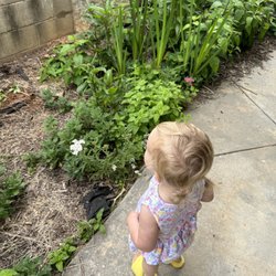 Dacula Public Library - Gated garden area outside the children's section