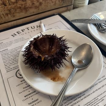 Neptune Oyster - Large spoon wouldn't fit into sea urchin shell.  Large spoon wouldn't fit into sea urchin shell. - Seafood Near Me - Boston, Massachusetts