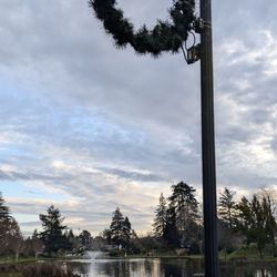 Mingus Park