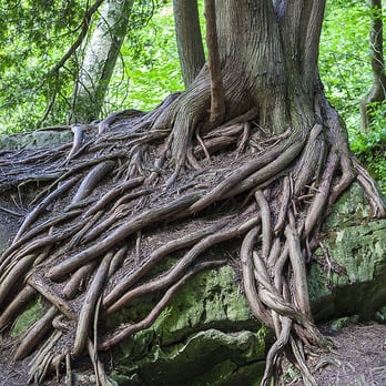 Bruce's Caves Conservation Area - Parks Near Me