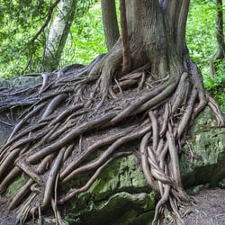 Bruce's Caves Conservation Area