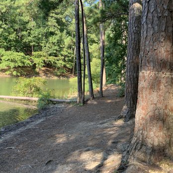 Red Top Mountain State Park - See those rings on the trees? That's the water level at one point! - Boating Near Me - Acworth, Georgia Red Top Mountain State Park - See those rings on the trees? That's the water level at one point! - Boating Near Me - Acworth, Georgia