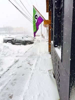 Everyday Wines by null