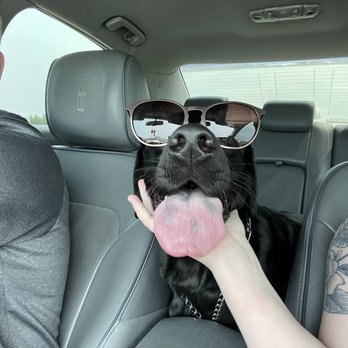 PetSmart - Pet Stores Near Me - GRAND FORKS, North Dakota