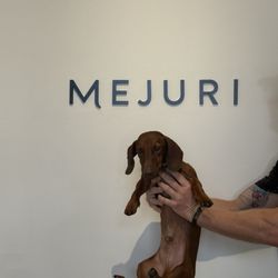 Mejuri Abbot Kinney