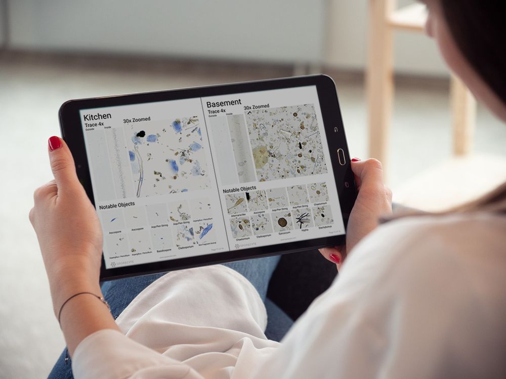 Clear Nest - mold inspector in South Jordan, UT