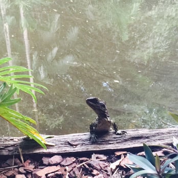 Spirit House - Thai Near Me - Yandina, QLD
