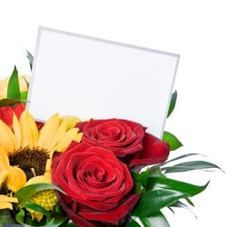 Paradise of Flowers - http://www.paradiseofflowers.co.uk