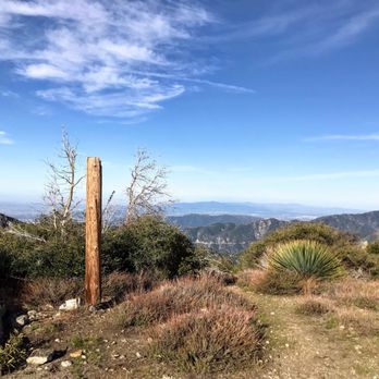 Mount Lawlor Via Red Box - Mount Lawlor summit - Hiking Near Me - Arcadia, California