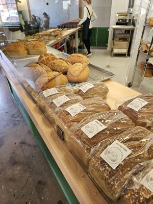 Twin Bears Bakery by null