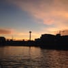 Seattle Flying Dragons gift card