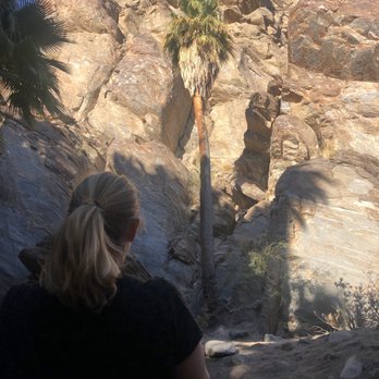 Big Wheel Tours - Bike Rentals Near Me - Palm Desert, California Big Wheel Tours - Bike Rentals Near Me - Palm Desert, California