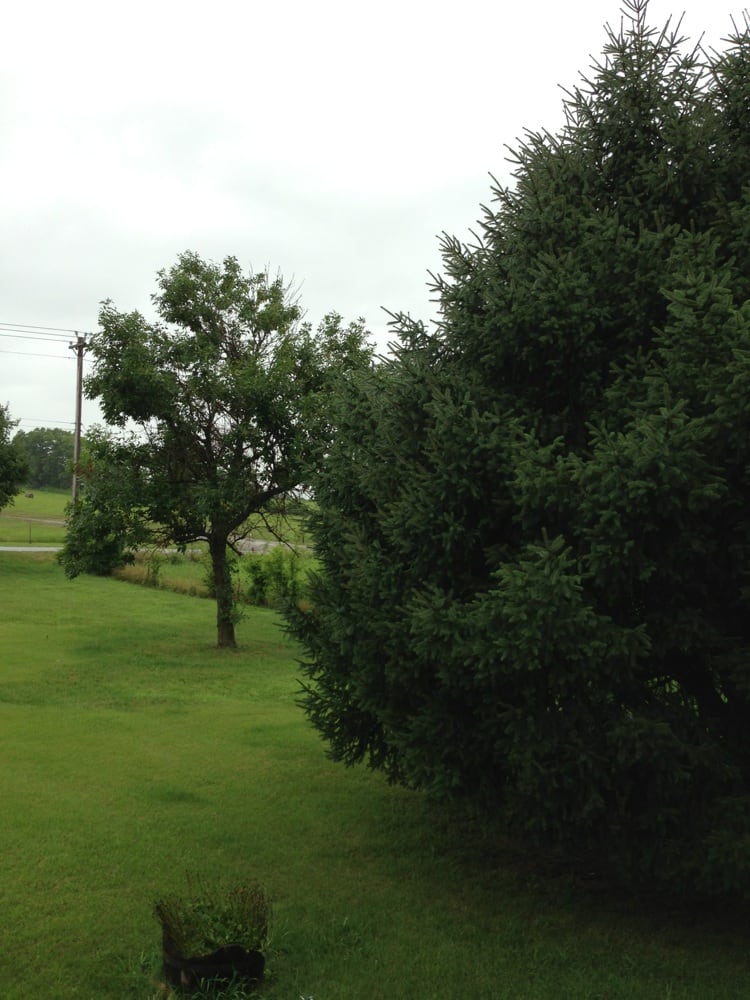 GOOSECREEK INN Updated August 2024 2406 Goose Creek Byp, Franklin