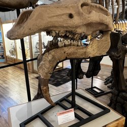World Fossil Finder Museum