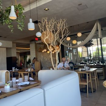Cala - Indoor seating - Mediterranean Near Me - Scottsdale, Arizona Cala - Indoor seating - Mediterranean Near Me - Scottsdale, Arizona
