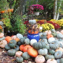 Stonewall Garden Center