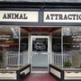 Photo of Animal Attraction
