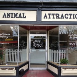 Animal Attraction