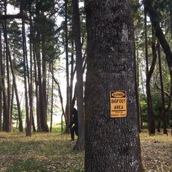 Sunny Valley Campground - Warning sign that big foot is in the area
