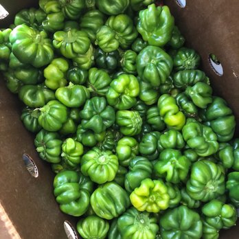 Full Season Fresh - Small green sweet peppers - Grocery Near Me - Irvine, California Full Season Fresh - Small green sweet peppers - Grocery Near Me - Irvine, California