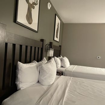 Great Wolf Lodge - Standard family suite - Water Parks Near Me - Perryville, Maryland Great Wolf Lodge - Standard family suite - Water Parks Near Me - Perryville, Maryland