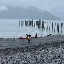 Sunny Cove Kayaking, Hiking & Wildlife Cruise Adventures - Shoreline where we docked for hike