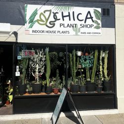 Chica Plant Shop - Front enterance
