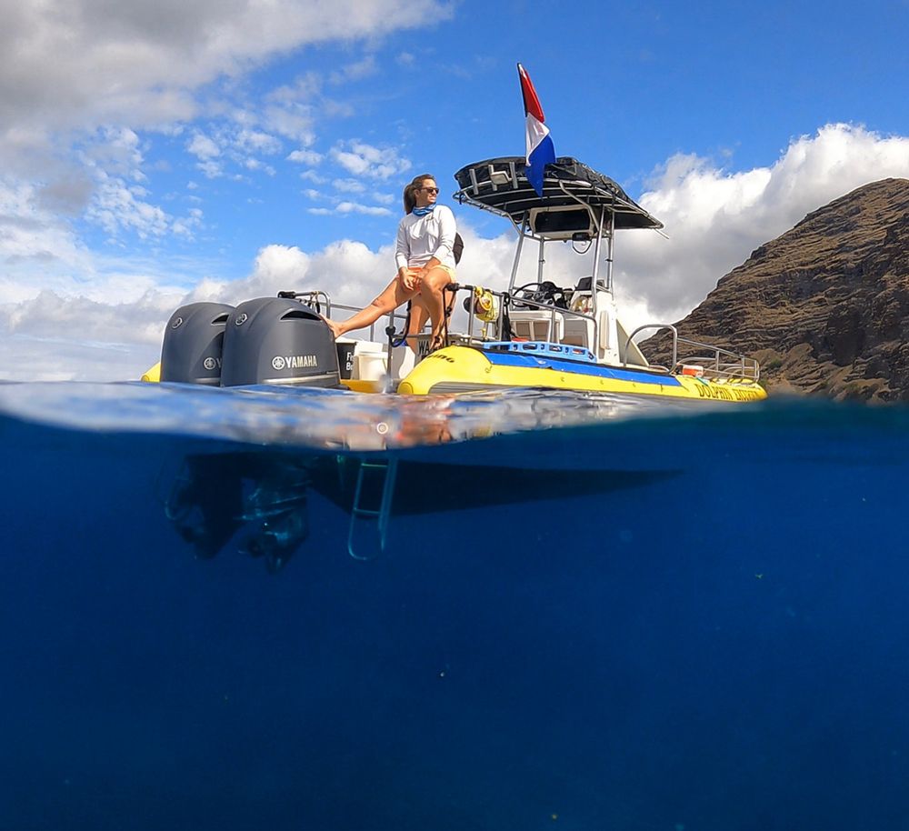 Social spots from Dolphin Excursions Hawaii