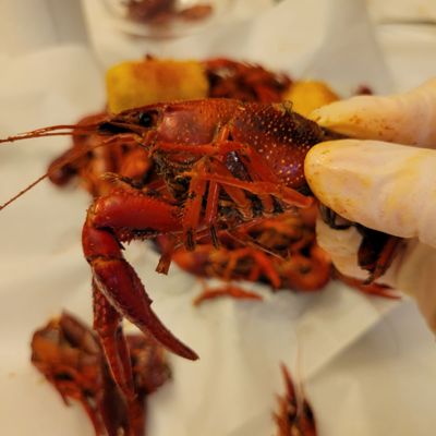 Pops Crawfish by null