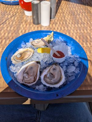 Carr's Oyster Bar by null