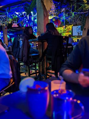 Selva Toronto by null