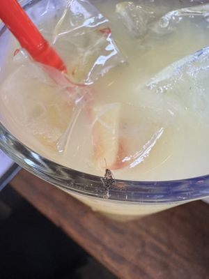 Mambo Italian Street Food by null