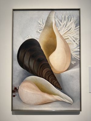 Georgia O'Keeffe Museum by null