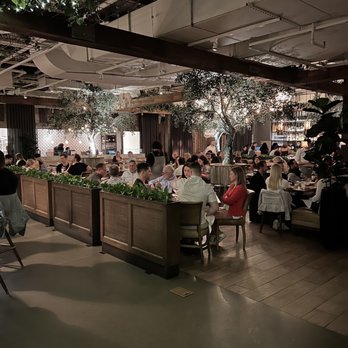 Aba - Dining Areas - Mediterranean Near Me - Chicago, Illinois