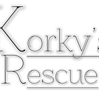 Korkys Rescues - Korky's Rescues - Pet Adoption Near Me Korkys Rescues - Korky's Rescues - Pet Adoption Near Me