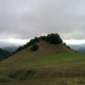 Las Trampas Regional Wilderness - Sycamore Trail - Parks Near Me - San Ramon, California Las Trampas Regional Wilderness - Sycamore Trail - Parks Near Me - San Ramon, California