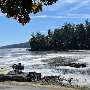 Buck Bay Shellfish Farm - Outside - Seafood Markets Near Me - Olga, Washington Buck Bay Shellfish Farm - Outside - Seafood Markets Near Me - Olga, Washington