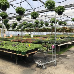 Plant selection inside SGC Plant selection inside SGC