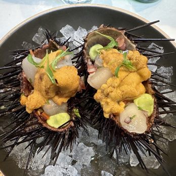 Holbox - Live Urchin & Scallop Ceviche - Latin American Near Me - Los Angeles, California
