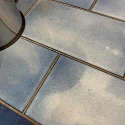 Hotel Il Pino - Ant infestation