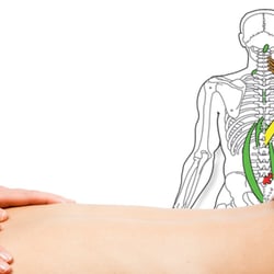Solace Clinical Massage - Pain Relief with Spinal Reflex Therapy a soft tissue protocol
